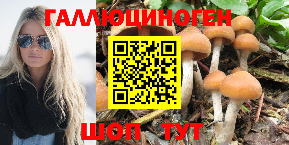 Псилоцибиновые грибы прущие грибы Луховицы
