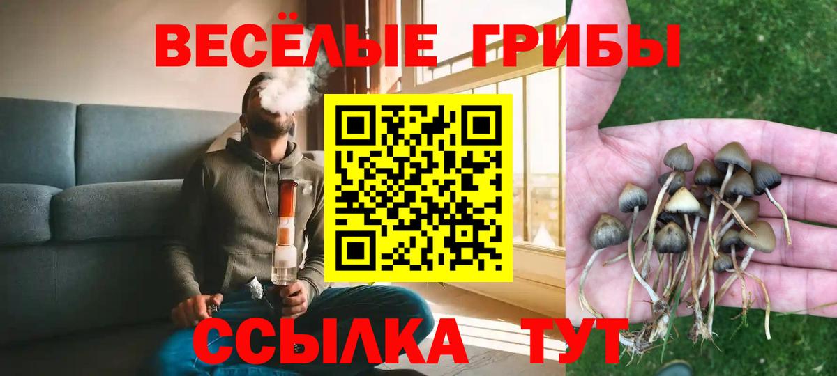 Луховицы  где купить наркоту  Вход с VPN  Галлюциногенные грибы MAGIC MUSHROOMS 
