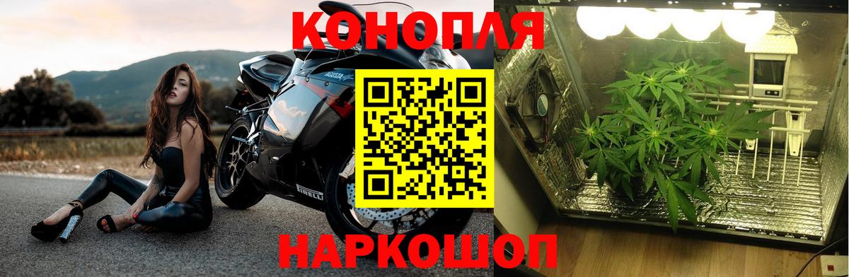 Луховицы  Бошки Шишки LSD WEED  Канабис сатива  Вход с VPN  Канабис ГИДРОПОН 